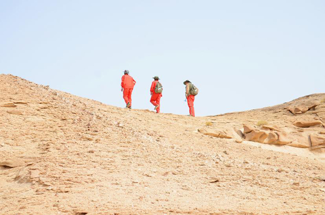 ca88手机客户端(安卓/苹果)CA88会员登录入口